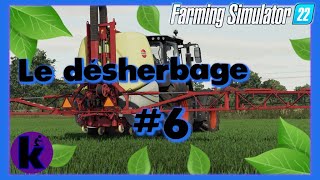 Fs22 Guide débutants Sarcleuse ou herbicide Mauvaises herbes Bien commencer farming simulator 22 [upl. by Deys]