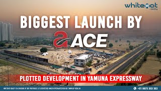 ACE Group New Launch  Residential Plots at Yamuna Expressway  WhiteHat Realty [upl. by Swayder208]