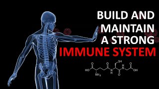 Build amp Maintain a Strong Immune System [upl. by Oneil]