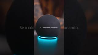 Alexa imitando um programador [upl. by Aneelad]