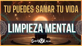 LIMPIEZA MENTAL Tu puedes sanar tu vida 🆓 pazinterior vivirsinmiedo louisehay [upl. by Lemhaj]