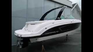 06 Chaparral 256 SSI bowrider for sale by Pronautika [upl. by Ardnod]