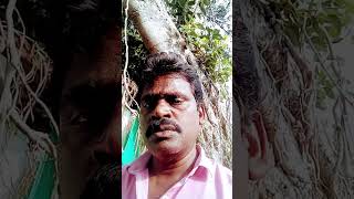 Agaramipposigaramtamilsong shortvideo shortsfeed kjjesudas [upl. by Maye]