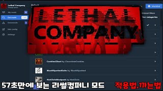 57초만에 알아보는 리썰컴퍼니 모드 까는법적용법 [upl. by Chaney]