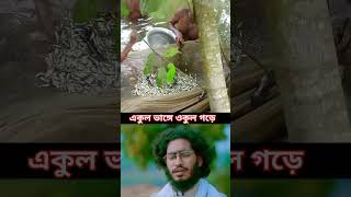 অবাক কান্ড অসাধারণ যতবার দেখি তত বার অবাক হই  M E Islamic Media [upl. by Garbers]