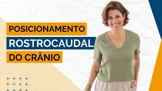 Projeção rostrocaudal do crânio de cães [upl. by Iniretake]