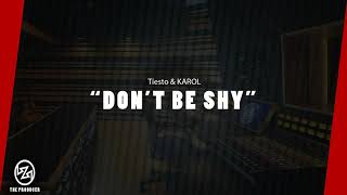 Tiesto amp KAROL G  Don’t Be Shy Instrumental [upl. by Ellitnahc]