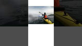 kayak camping 섬캠핑kayak [upl. by Emmett]