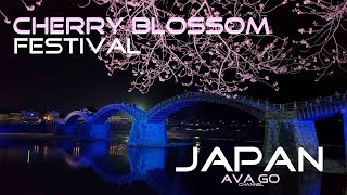 CHERRY BLOSSOM FESTIVAL SPRING 2024  KINTAI BRIDGE IWAKUNI JAPAN  AVA GO CHANNEL [upl. by Annaoj]