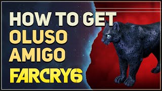 How to get Oluso Far Cry 6 Amigos [upl. by Buffum]