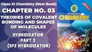 Types of hybridization  sp2 hybridization  Class 11 chemistry new book Sindh board [upl. by Happy]