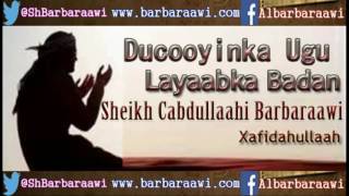 Ducooyinka Ugu Layaabka Badan Sheikh Cabdullaahi Barbaraawi [upl. by Nolur]