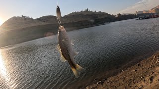 Bass fishing at Lake Kaweah [upl. by Ruthie]