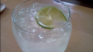 How to make Lemon Lime Soda  The Bikini Kitchen  Joyce Nichols [upl. by Allenotna]