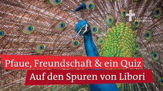 Paderborn feiert Libori Geschichten vom Liborifest und der Freundschaft hier bei LiboriTV [upl. by Mikey]