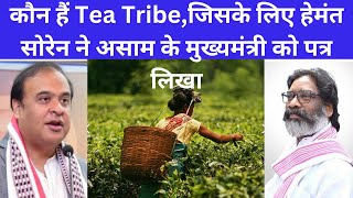 कौन हैंTea Tribe जिसके लिए हेमंत सोरेन ने हेमंत विस्वा शर्मा को पत्र लिखा ॥झारखंड विधान सभा चुनाव ॥ [upl. by Nolram]