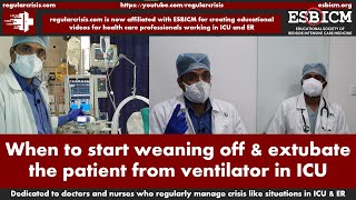 When to start weaning off amp extubate the patient from ventilator in ICU  regularcrisis [upl. by Toft]