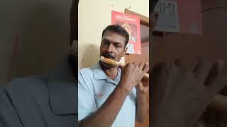 Pachai mayil vaagananae flute [upl. by Romona]