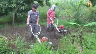 CY50 amp CY80 摺疊式中耕機 除草 amp 鬆土 Garden tiller tilling in veg field 농업 기계 中耕機 [upl. by Einama888]