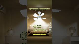 Socket Fan Light Ceiling Fans with Lights [upl. by Idnahk]