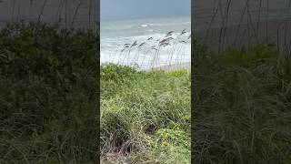 Brevard County the calm before Hurricane Milton [upl. by Adnael394]