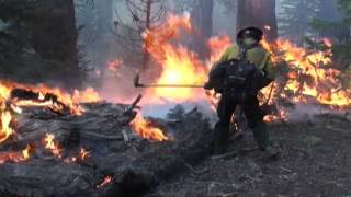 Wildland Fire Recruiting Video [upl. by Armando]