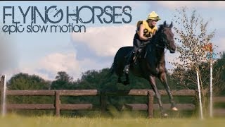 Epic Slow motion Horses [upl. by Delle374]