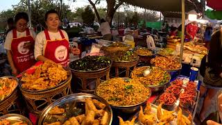 Exploring Local Cuisine Vientiane Food Festival 2024 [upl. by Steep]