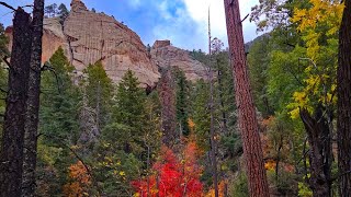 Sacaton Creek Trail  Gila National Forest NM  November 11 2023 [upl. by Padegs]