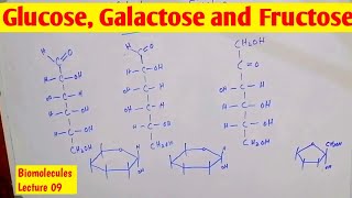 Glucose Fructose and Galactose linear structure Comparison and ring structure  Monosaccharides [upl. by Nwahsd]