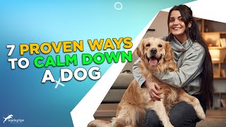 7 Proven Ways to Calm Down A Dog [upl. by Magdalene]