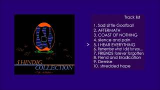 Shindig Collection PMD2 Fan Album [upl. by Airad759]