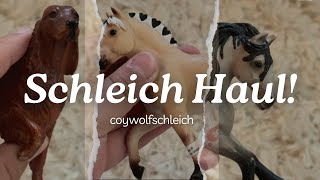 Schleich Haul  coywolfschleich [upl. by Sella]