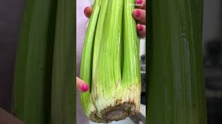 Washing Produce in the Dishwasher [upl. by Gabler]