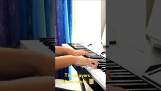 The prayer piano cover music piano pianocover pianotutorial newzealand [upl. by Agace]