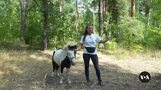 Time with horses is helping some Ukrainian kids deal with war  VOA News [upl. by Bandler]