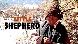 Little Shepherdपुन्टे भेडि गोठालो [upl. by Ileak]