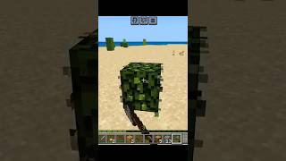 I found a Rabbit then this happened 😕  MINECRAFT [upl. by Hermes]