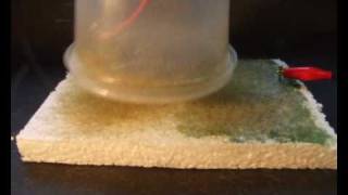 Home Made Static Grass Applicator [upl. by Nicholle]