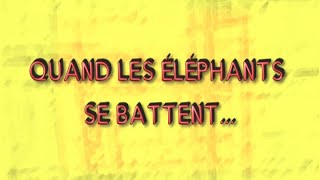 QUAND LES ELEPHANTS SE BATTENT EP26 BURKINA FASO [upl. by Nealey274]