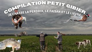 Chasse compilation petit gibiersaison 2024 [upl. by Ardolino]