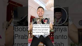 Bobby kucingnya pak Prabowo pindah ke Istana Negara Menarik nih shorts [upl. by Bess]