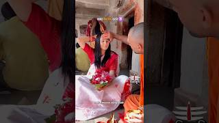 Baba Baidyanath Jyotirling Darshan Puja 🙏🏻🕉️ 📞7060656606 ytshorts jyotirling mahadev [upl. by Euqirne218]