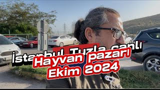 Canlı hayvan pazarında fiyatları inceledik ￼ [upl. by Whitehurst]