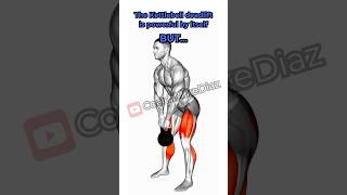 The Kettlebell Deadlift [upl. by Uella]