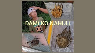 Gagamba vlogSpider hunting 2024 [upl. by Seira]