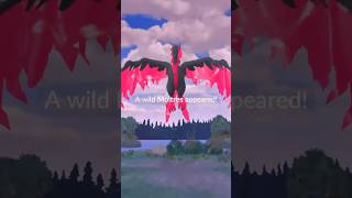 I Found a Galarian Moltres In Pokemon Go After I Did THIS… shorts pokemon [upl. by Fortunato]