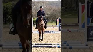 🐴 Trot pole exercise  Train with Shires polework trotpoles poleworkexercise [upl. by Noneek161]