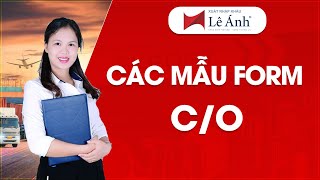 Các Mẫu Form CO  Học Xuất Nhập Khẩu  Xuất Nhập Khẩu Lê Ánh [upl. by Alis]