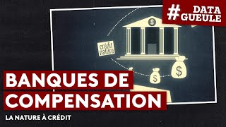 Banques de compensation  la Nature à crédit  DATAGUEULE 35 [upl. by Mobley]